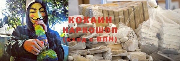 шишки Новозыбков